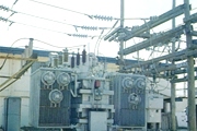 Company Information
